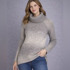 Wilfred Italian Yarn Wool Blend Turtleneck Sweater XXS | Cozy Ombre Knit